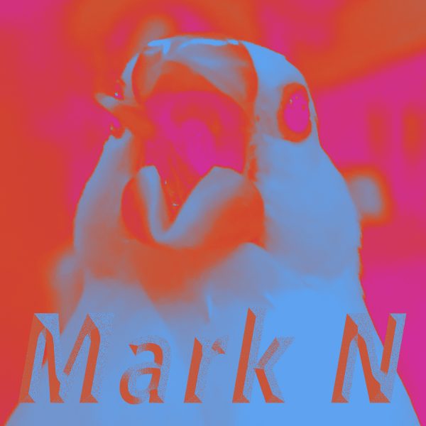 Mark N